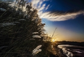 IIP Online Student Photography
